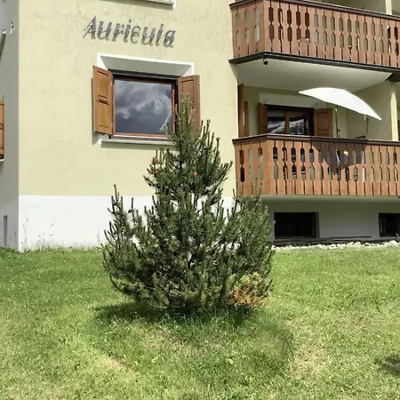 Apartmán Apartment Chesa Auricula 4 Aden - Oev Inclusive By Interhome *