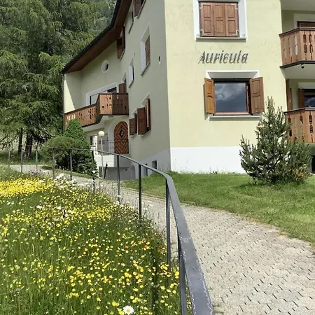 Apartmán Apartment Chesa Auricula 4 Aden - Oev Inclusive By Interhome Pontresina